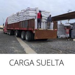 TRANSPORTE DE CONTENEDOR (3)